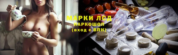 spice Чита