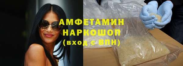 соль ск Тайга