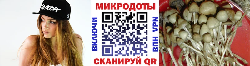где купить наркоту  Среднеуральск  Галлюциногенные грибы Psilocybe 